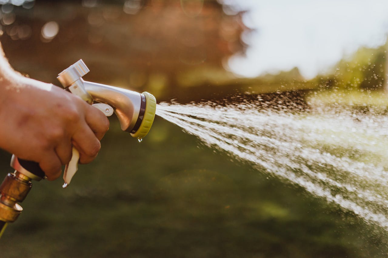 Expert Lawn Care Services in Winnipeg for a Greener Yard